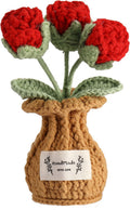 Crochet Rose Flower Potted Plant – Red, Valentines Day Gift for Her, Handmade Knitted Romantic Desk Decor