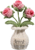 Crochet Rose Flower Potted Plant – Pink, for Her, Handmade Knitted Romantic Desk Decor