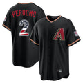 Arizona Diamondbacks #2 Geraldo Perdomo Player Black Jermy USA 250 Fourth of July Game Home Stitched Jerseys